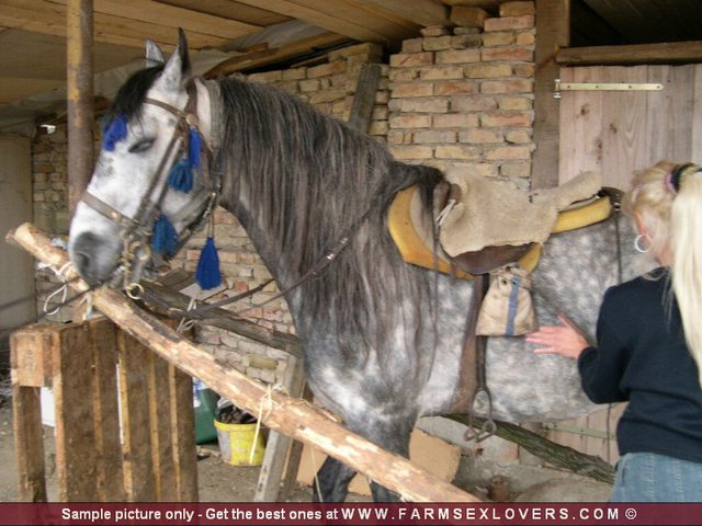 Молодая особа с шикарными сиськами предпочитает потрахаться с конем