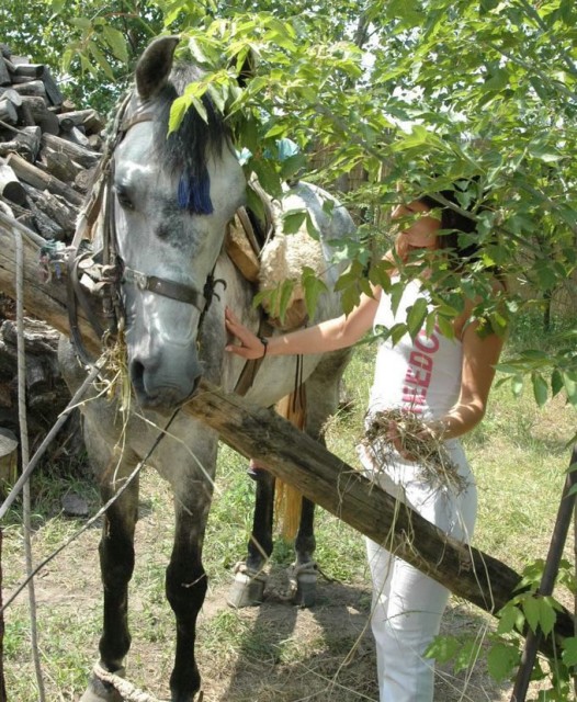 Horse porn возбужденная девушка встремила в свою пиздяку конский член