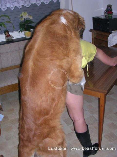 Кобель нещадно хуячит возбужденную дамочку